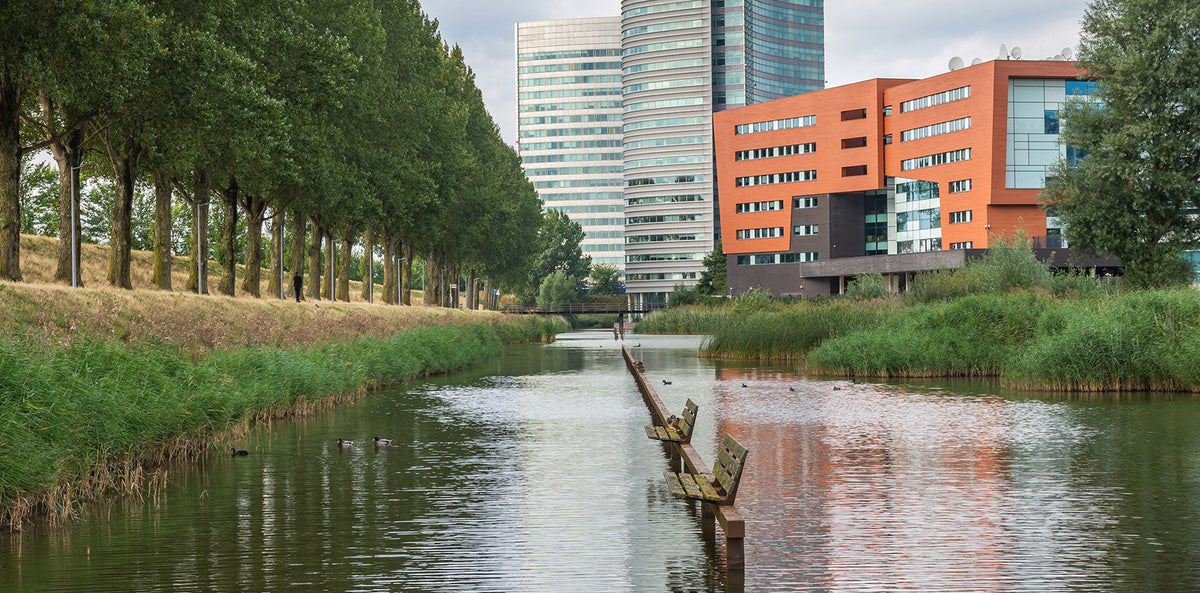 Torten nach Hoofddorp bestellen!