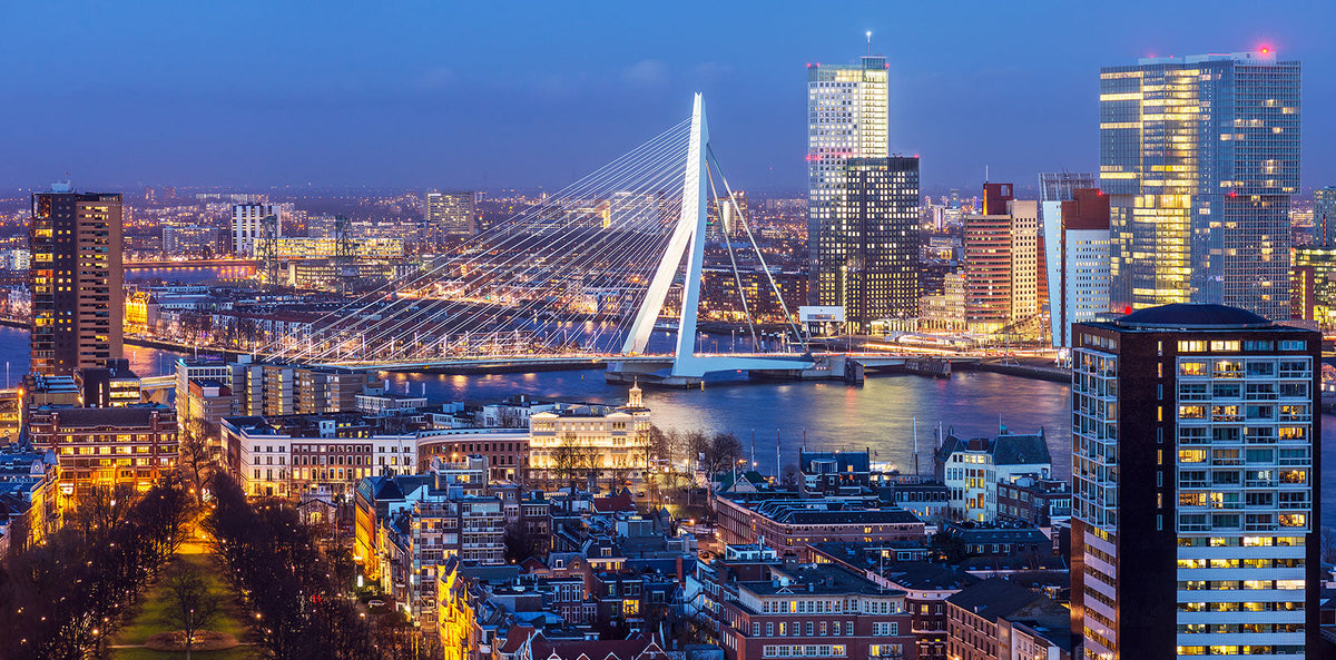 Torten nach Rotterdam bestellen!