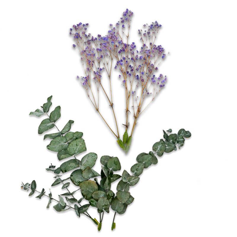 Torkade blommor - eukalyptus och lila brudslöja
